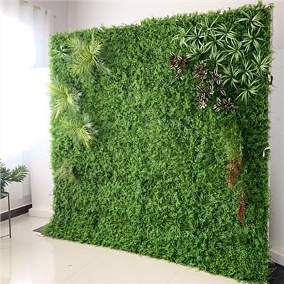 Phông Nền Cỏ Đám Cưới